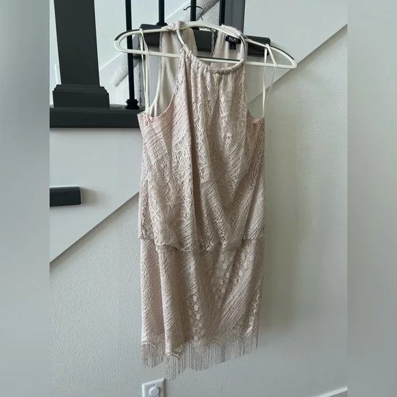 SLNY Shimmery Champagne Dress with Fringe - Picture 2 of 9